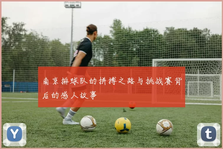 南京排球队的拼搏之路与挑战赛背后的感人故事