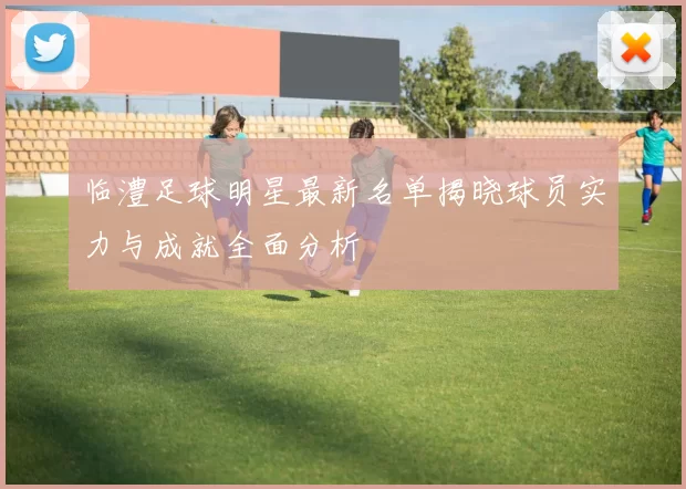 临澧足球明星最新名单揭晓球员实力与成就全面分析