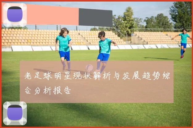 老足球明星现状解析与发展趋势综合分析报告