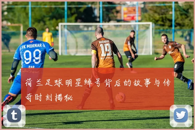 荷兰足球明星绰号背后的故事与传奇时刻揭秘