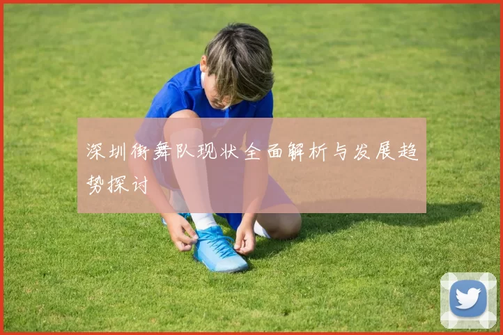 深圳街舞队现状全面解析与发展趋势探讨