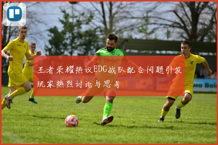 王者荣耀热议EDG战队配合问题引发玩家热烈讨论与思考