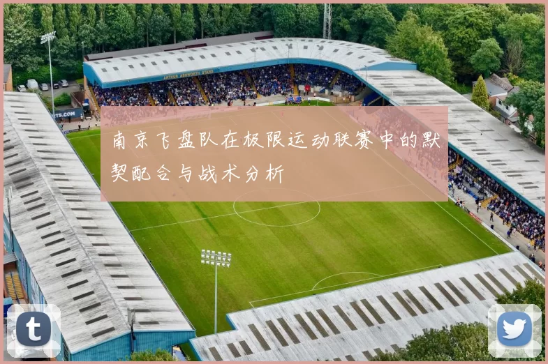 南京飞盘队在极限运动联赛中的默契配合与战术分析