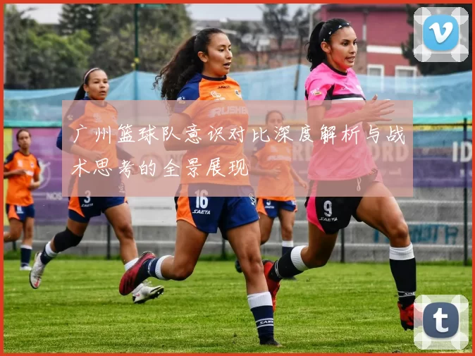 广州篮球队意识对比深度解析与战术思考的全景展现