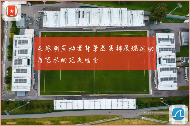 足球明星动漫背景图集锦展现运动与艺术的完美结合