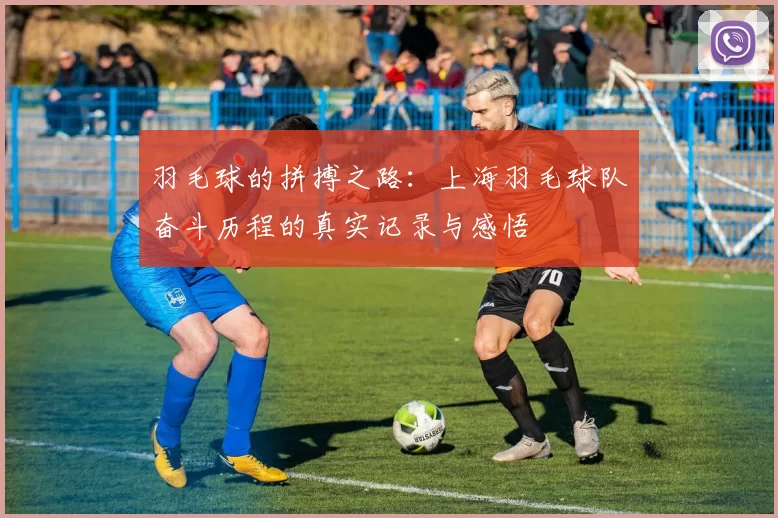 羽毛球的拼搏之路：上海羽毛球队奋斗历程的真实记录与感悟