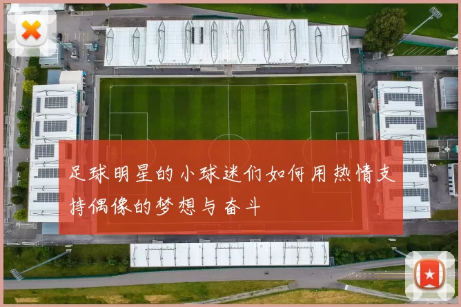 足球明星的小球迷们如何用热情支持偶像的梦想与奋斗