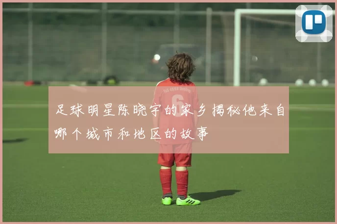 足球明星陈晓宇的家乡揭秘他来自哪个城市和地区的故事