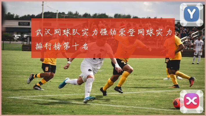 武汉网球队实力强劲荣登网球实力排行榜第十名