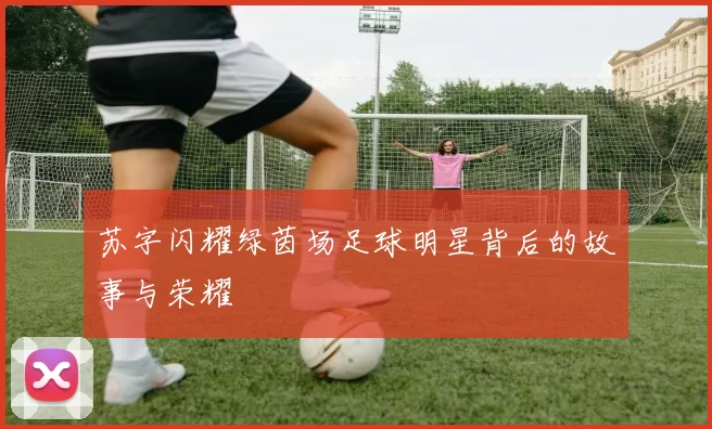 苏字闪耀绿茵场足球明星背后的故事与荣耀