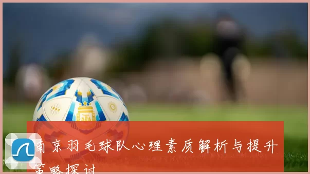 南京羽毛球队心理素质解析与提升策略探讨