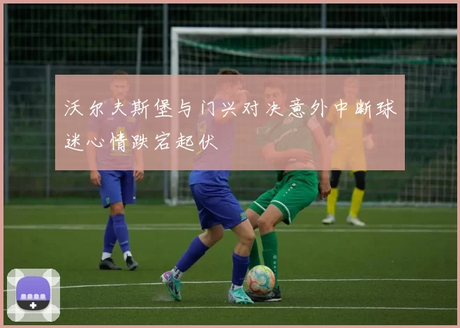 沃尔夫斯堡与门兴对决意外中断球迷心情跌宕起伏
