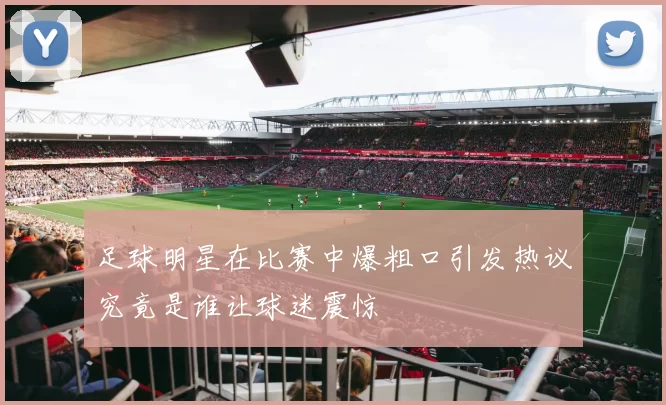 足球明星在比赛中爆粗口引发热议究竟是谁让球迷震惊