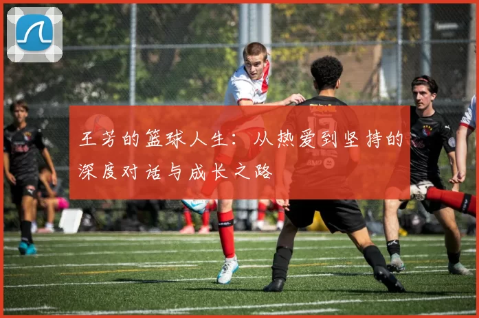 王芳的篮球人生：从热爱到坚持的深度对话与成长之路