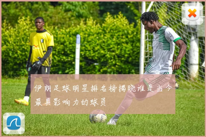 伊朗足球明星排名榜揭晓谁是当今最具影响力的球员