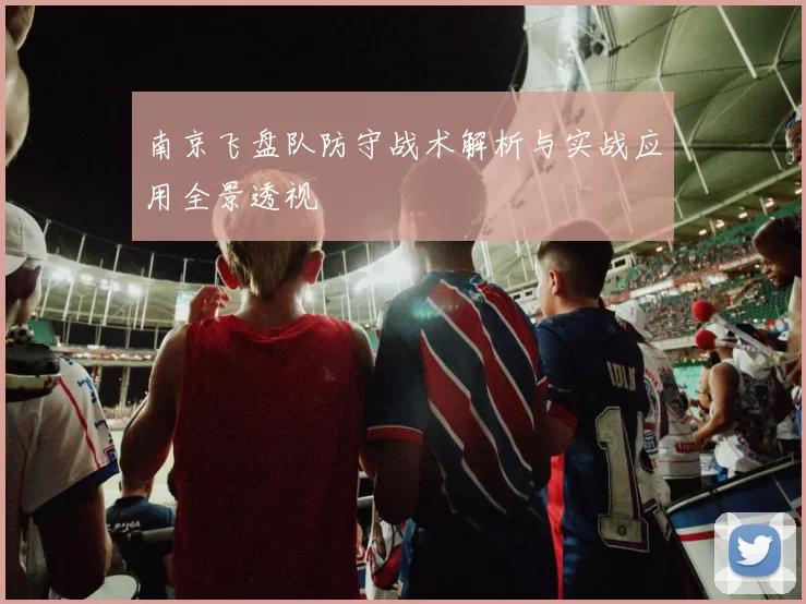 南京飞盘队防守战术解析与实战应用全景透视