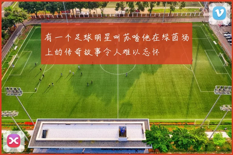 有一个足球明星叫苏啥他在绿茵场上的传奇故事令人难以忘怀
