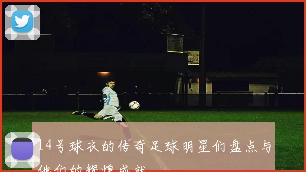 14号球衣的传奇足球明星们盘点与他们的辉煌成就