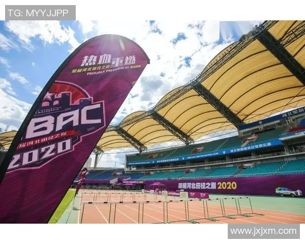 北京排球队崛起之路世界锦标赛背后的奋斗与荣耀