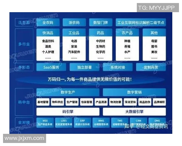 数字化时代的网络科技创新与发展趋势探讨及未来展望